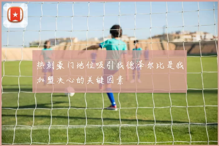 热刺豪门地位吸引我德泽尔比是我加盟决心的关键因素