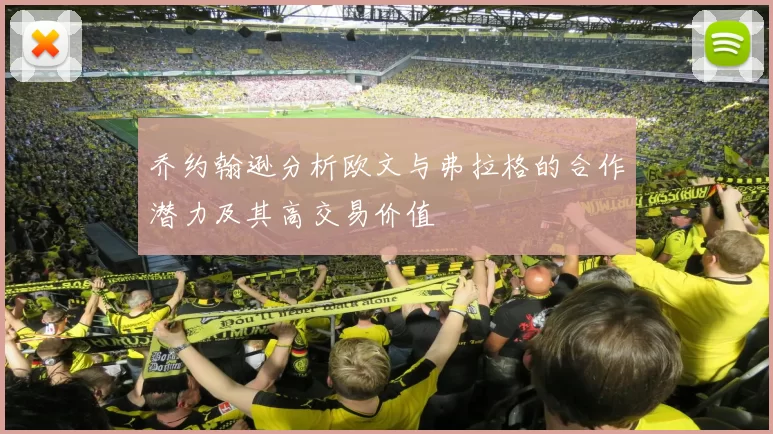 乔约翰逊分析欧文与弗拉格的合作潜力及其高交易价值