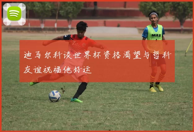 迪马尔科谈世界杯资格渴望与哲科友谊祝福他好运