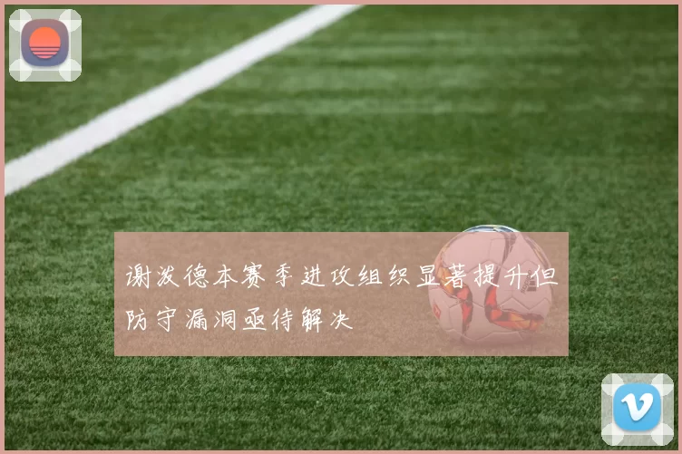 谢泼德本赛季进攻组织显著提升但防守漏洞亟待解决
